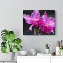 Load image into Gallery viewer, Canvas Wall Art