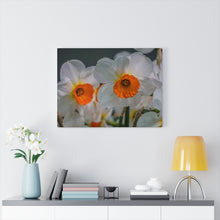 Load image into Gallery viewer, Canvas Wall Art