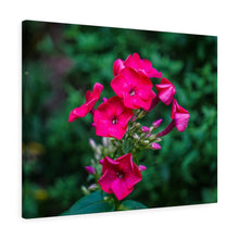 Load image into Gallery viewer, Canvas Wall Art