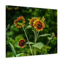 Load image into Gallery viewer, Canvas Wall Art