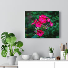 Load image into Gallery viewer, Canvas Wall Art