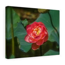 Load image into Gallery viewer, Canvas Wall Art