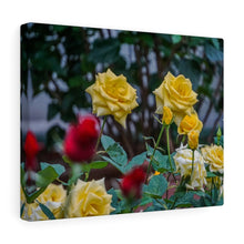 Load image into Gallery viewer, Canvas Wall Art