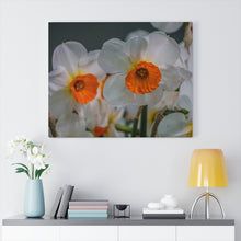 Load image into Gallery viewer, Canvas Wall Art