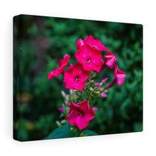 Load image into Gallery viewer, Canvas Wall Art