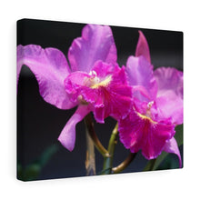 Load image into Gallery viewer, Canvas Wall Art