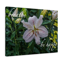 Load image into Gallery viewer, Canvas Wall Art