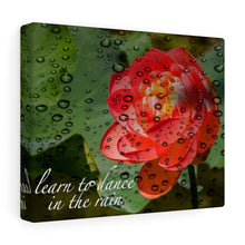 Load image into Gallery viewer, Canvas Wall Art