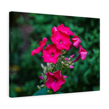 Load image into Gallery viewer, Canvas Wall Art