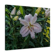 Load image into Gallery viewer, Canvas Wall Art
