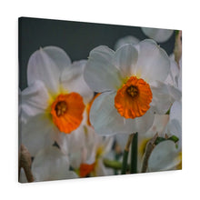 Load image into Gallery viewer, Canvas Wall Art