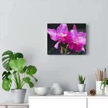 Load image into Gallery viewer, Canvas Wall Art