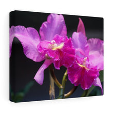 Load image into Gallery viewer, Canvas Wall Art