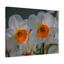 Load image into Gallery viewer, Canvas Wall Art