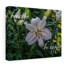 Load image into Gallery viewer, Canvas Wall Art