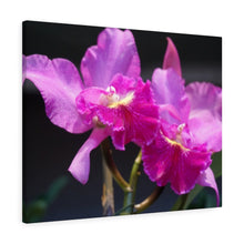 Load image into Gallery viewer, Canvas Wall Art