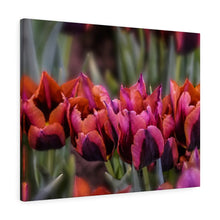 Load image into Gallery viewer, Canvas Wall Art