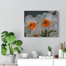 Load image into Gallery viewer, Canvas Wall Art