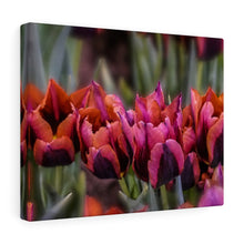 Load image into Gallery viewer, Canvas Wall Art