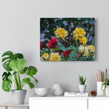 Load image into Gallery viewer, Canvas Wall Art