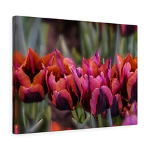 Load image into Gallery viewer, Canvas Wall Art