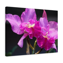 Load image into Gallery viewer, Canvas Wall Art