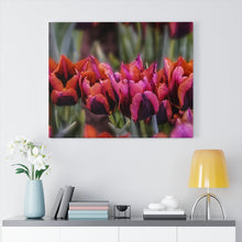Load image into Gallery viewer, Canvas Wall Art