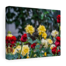 Load image into Gallery viewer, Canvas Wall Art