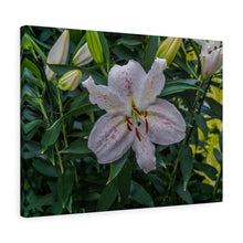 Load image into Gallery viewer, Canvas Wall Art