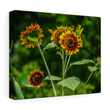 Load image into Gallery viewer, Canvas Wall Art