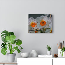 Load image into Gallery viewer, Canvas Wall Art
