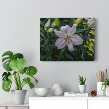 Load image into Gallery viewer, Canvas Wall Art