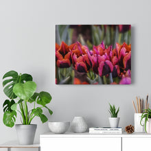 Load image into Gallery viewer, Canvas Wall Art