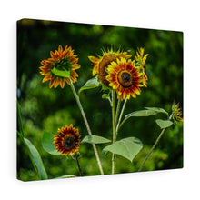 Load image into Gallery viewer, Canvas Wall Art