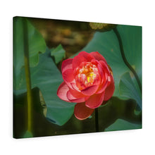 Load image into Gallery viewer, Canvas Wall Art