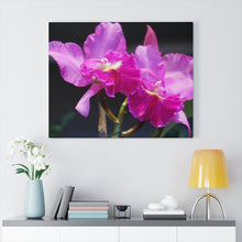 Load image into Gallery viewer, Canvas Wall Art