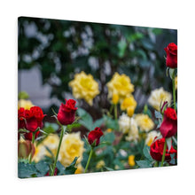 Load image into Gallery viewer, Canvas Wall Art