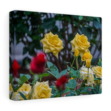 Load image into Gallery viewer, Canvas Wall Art