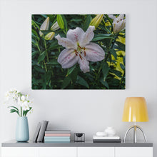 Load image into Gallery viewer, Canvas Wall Art