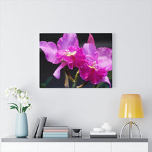 Load image into Gallery viewer, Canvas Wall Art