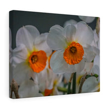 Load image into Gallery viewer, Canvas Wall Art