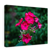 Load image into Gallery viewer, Canvas Wall Art