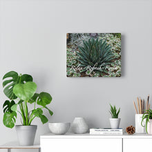 Load image into Gallery viewer, Canvas Wall Art