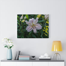 Load image into Gallery viewer, Canvas Wall Art