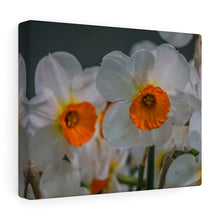 Load image into Gallery viewer, Canvas Wall Art