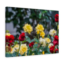 Load image into Gallery viewer, Canvas Wall Art