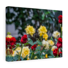 Load image into Gallery viewer, Canvas Wall Art