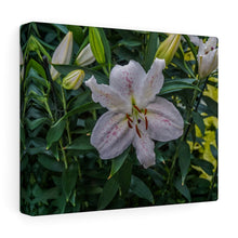 Load image into Gallery viewer, Canvas Wall Art