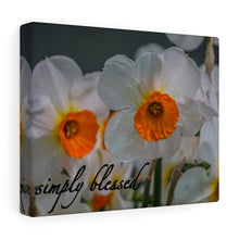 Load image into Gallery viewer, Canvas Wall Art