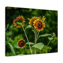 Load image into Gallery viewer, Canvas Wall Art